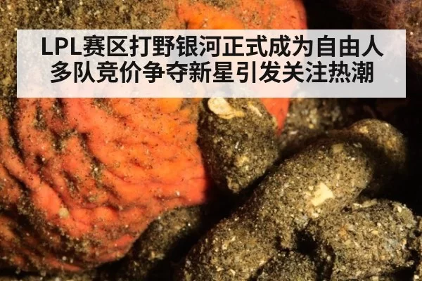 LPL赛区打野银河正式成为自由人 多队竞价争夺新星引发关注热潮